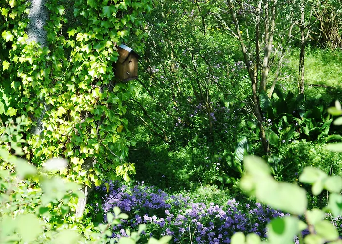 Craigmhor Lodge & Courtyard